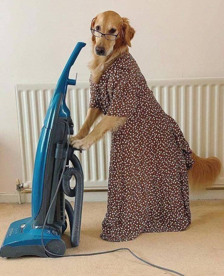 Daily Picdump