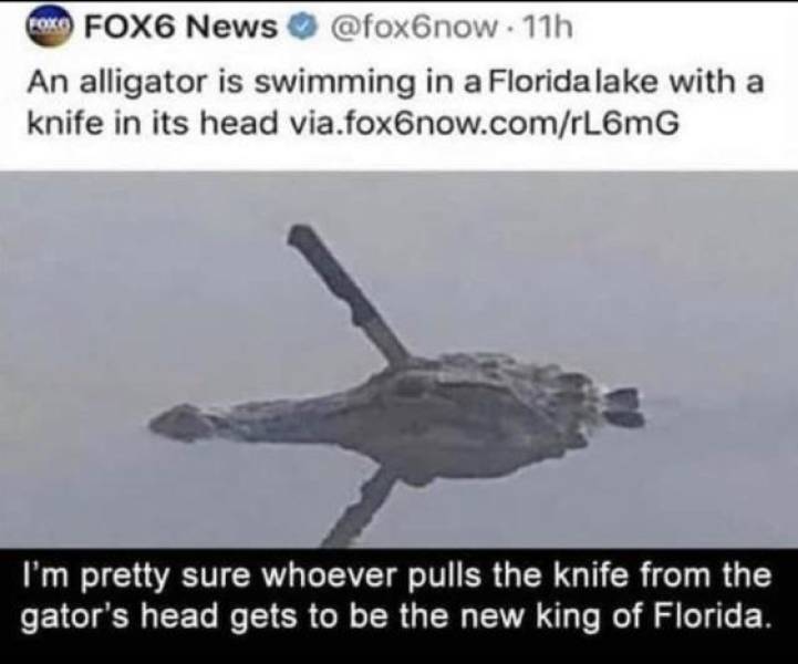 Funny Picdump