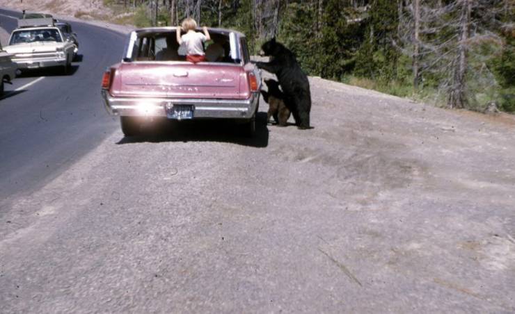 Daily Picdump