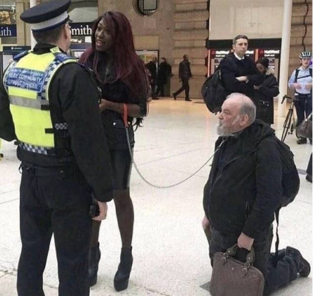 Daily Picdump