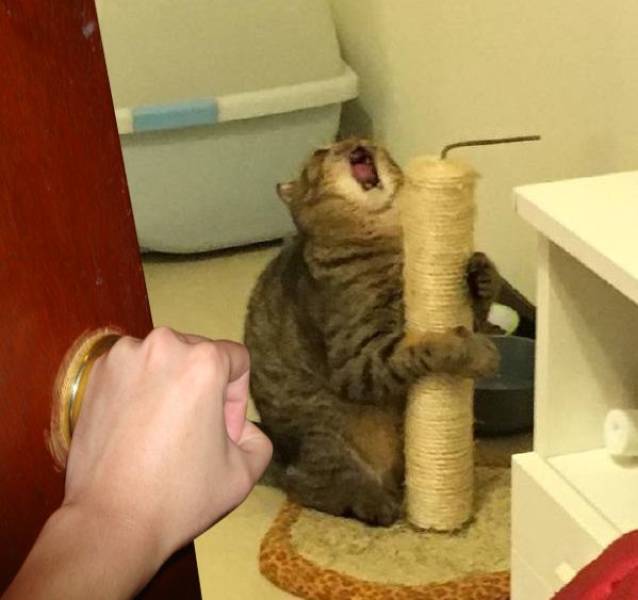 Daily Picdump