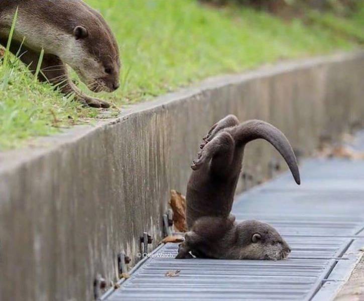 Daily Picdump