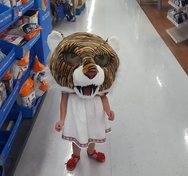 Daily Picdump