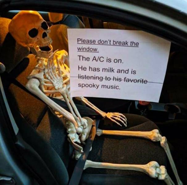 Funny Picdump