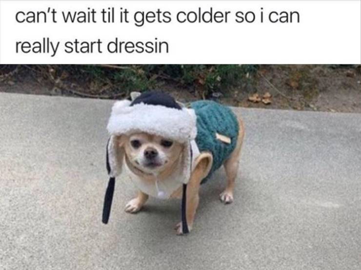 Funny Picdump