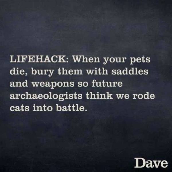 Funny Picdump