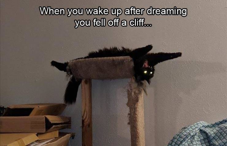 Funny Picdump