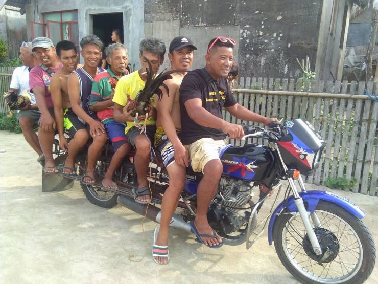 Daily Picdump