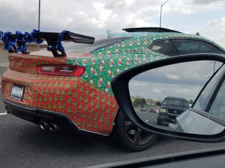 Daily Picdump