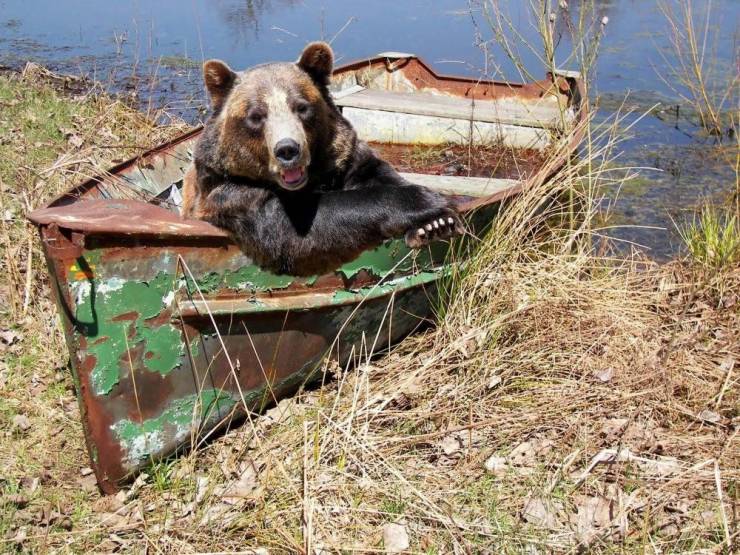 Daily Picdump