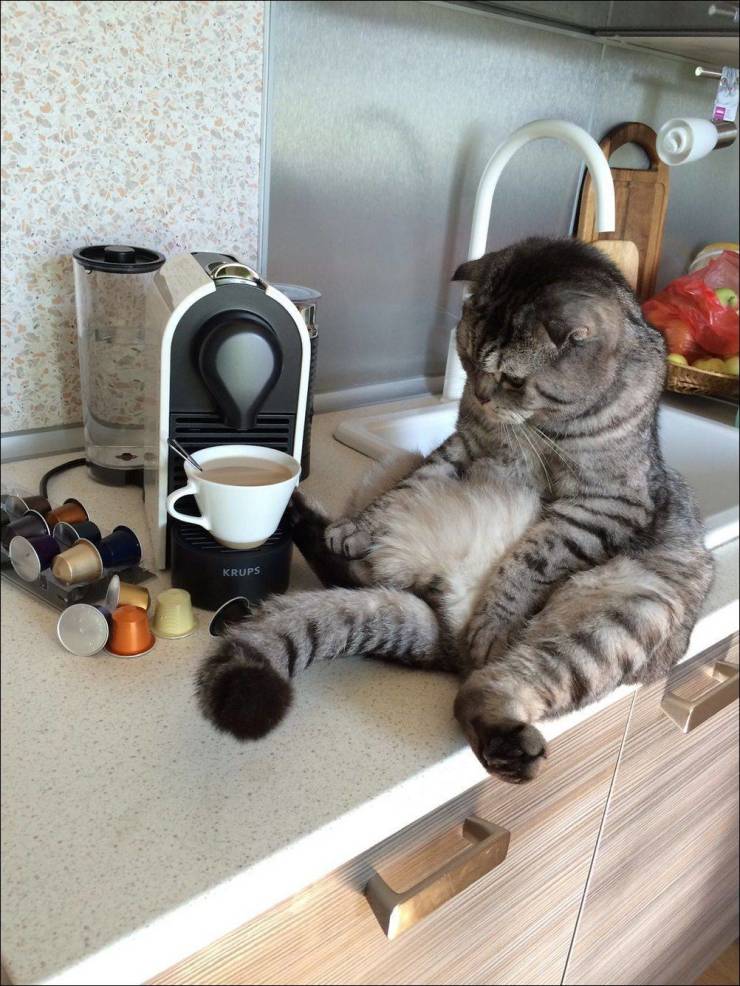 Daily Picdump