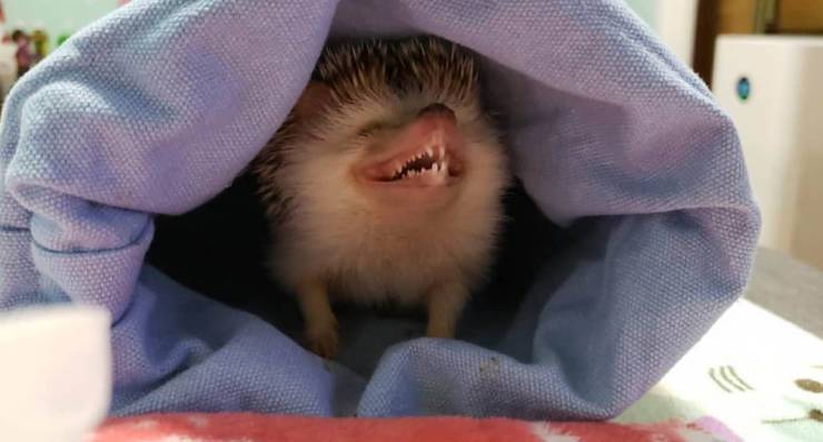 Daily Picdump
