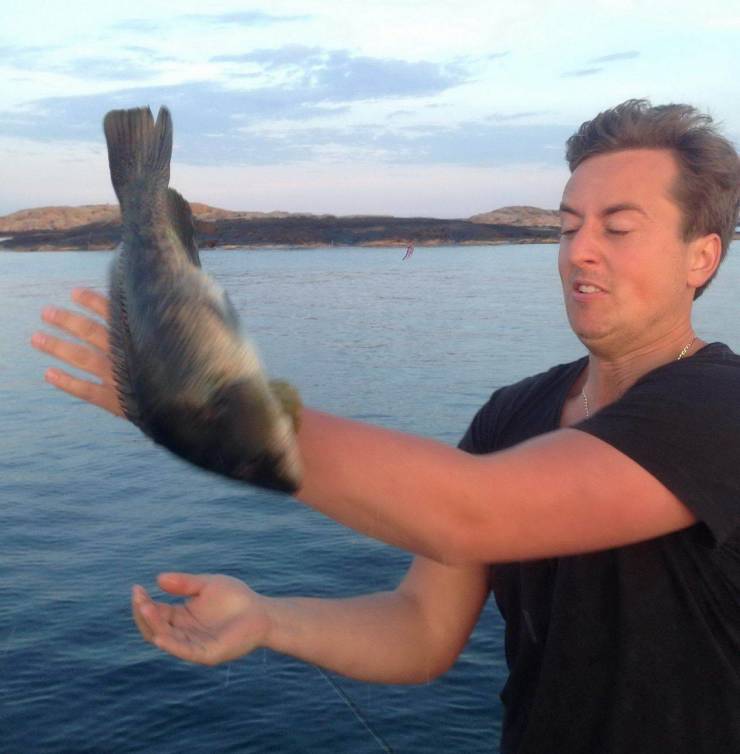 Daily Picdump