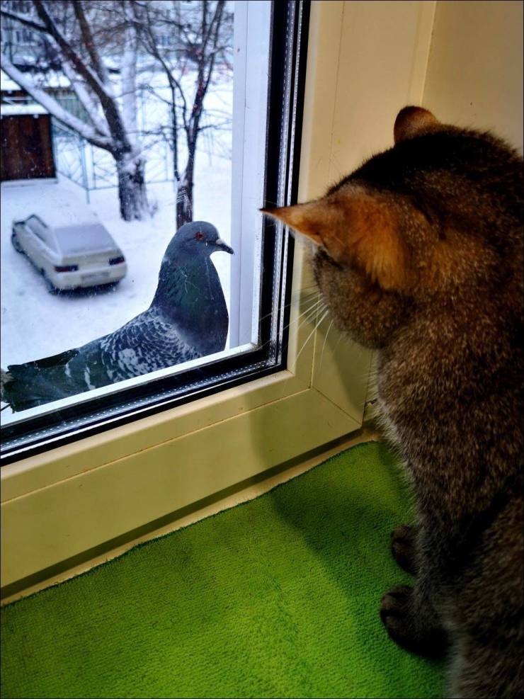 Daily Picdump