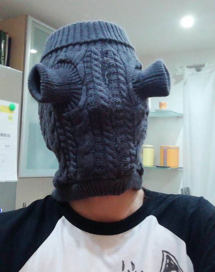 Daily Picdump