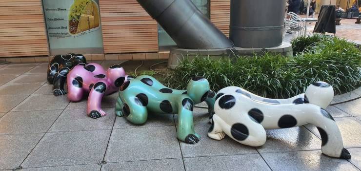 Daily Picdump