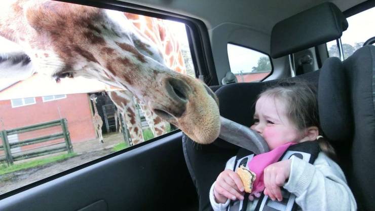 Daily Picdump
