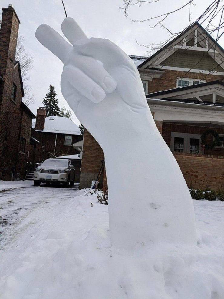 Daily Picdump