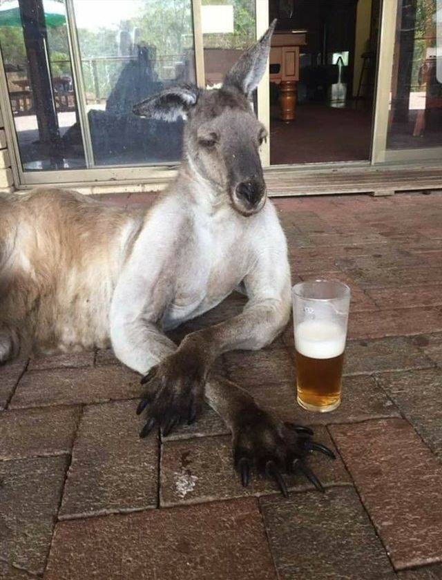 Daily Picdump
