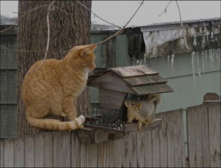 Daily Picdump