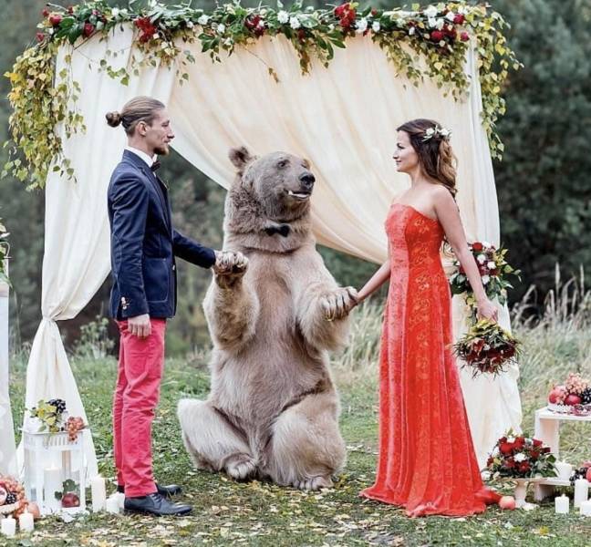 Daily Picdump