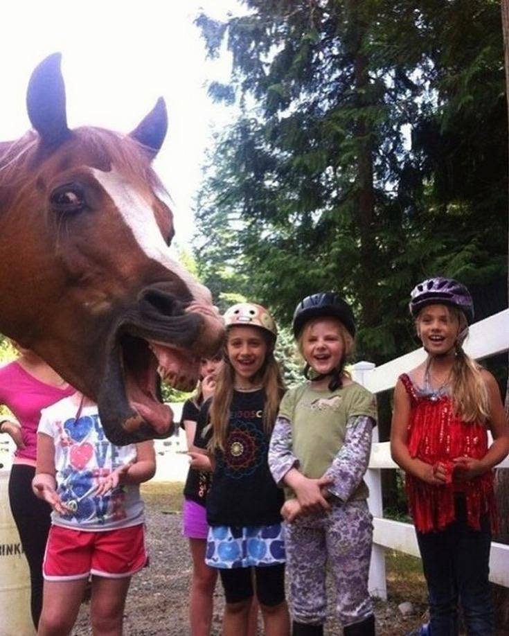 Daily Picdump