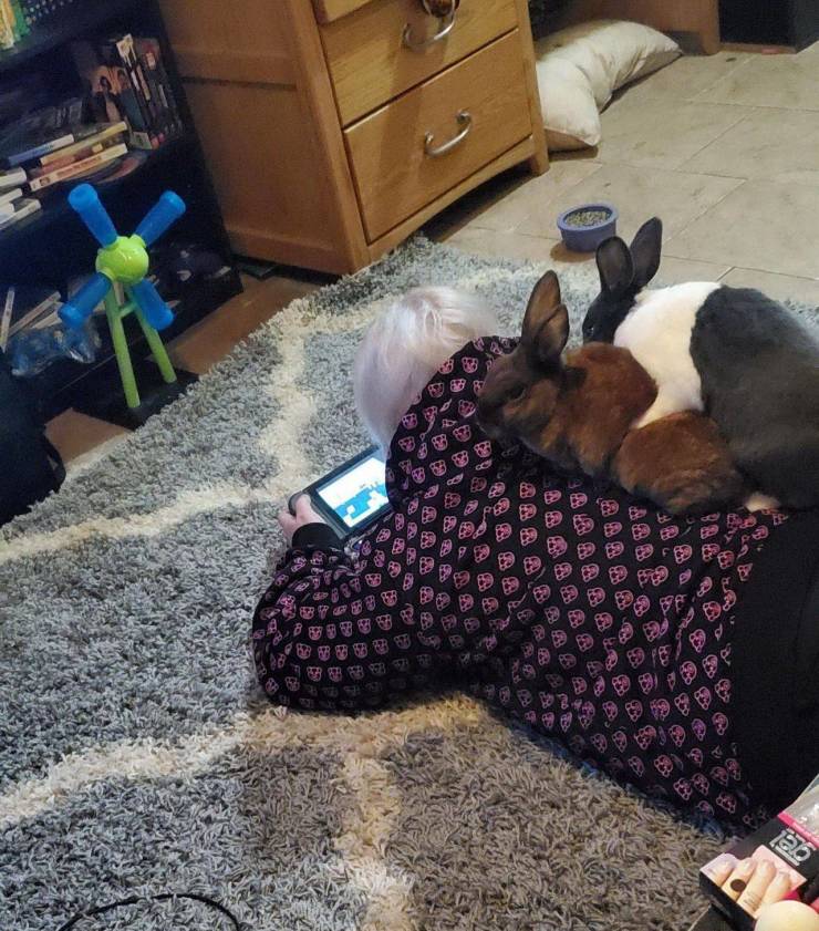 Daily Picdump