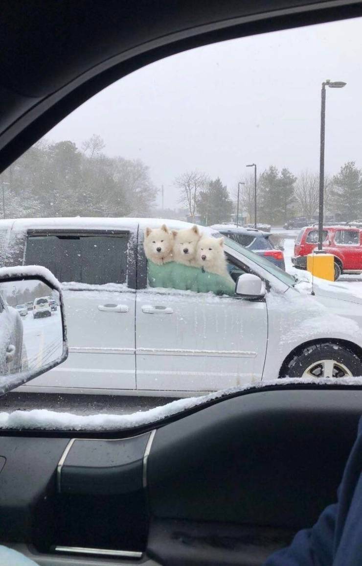 Daily Picdump