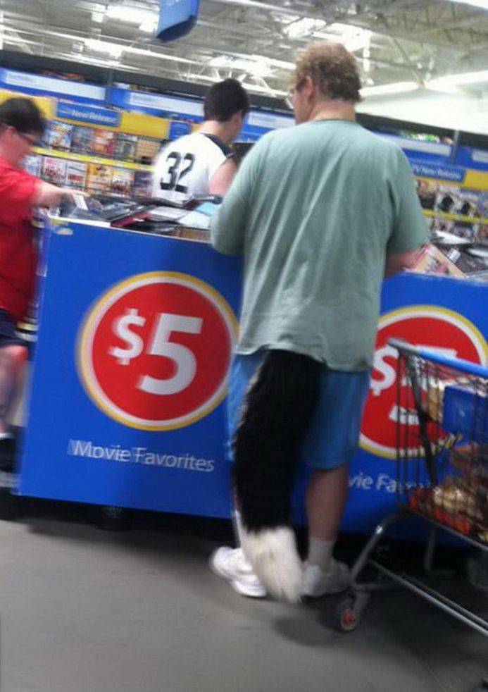 Daily Picdump