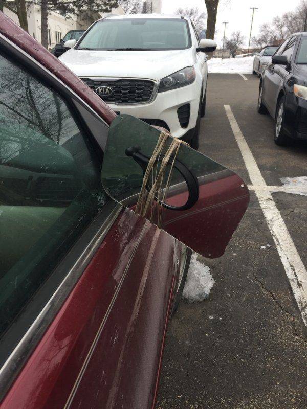 Daily Picdump