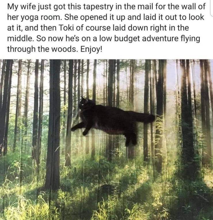 Daily Picdump