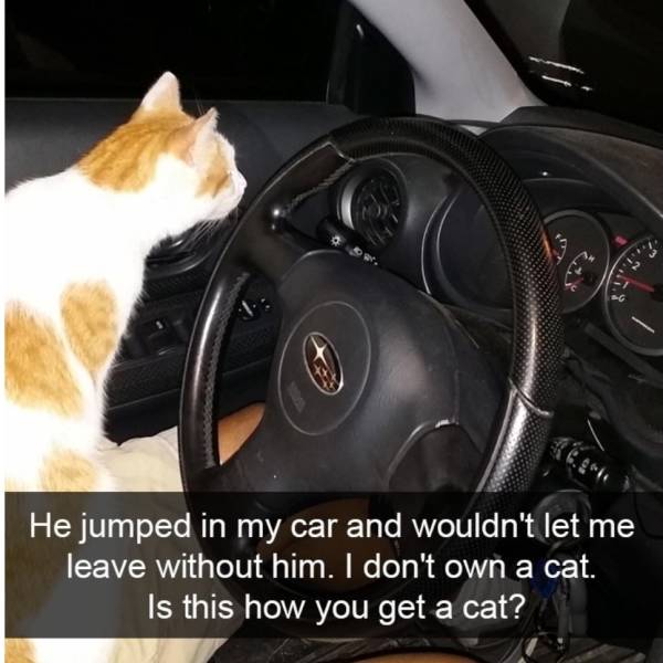 Funny Picdump