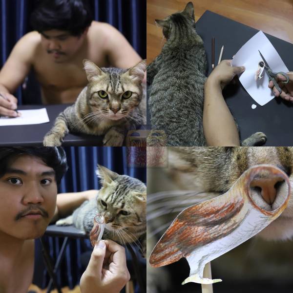 Funny Picdump