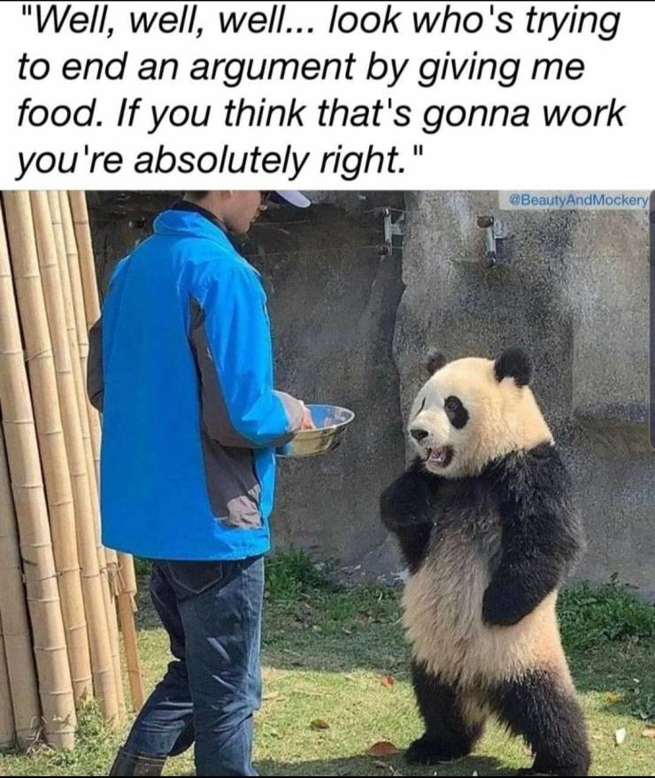 Funny Picdump