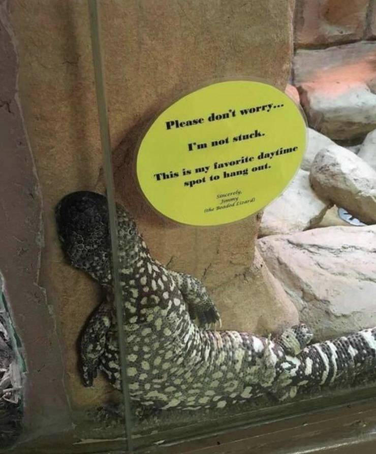 Funny Picdump