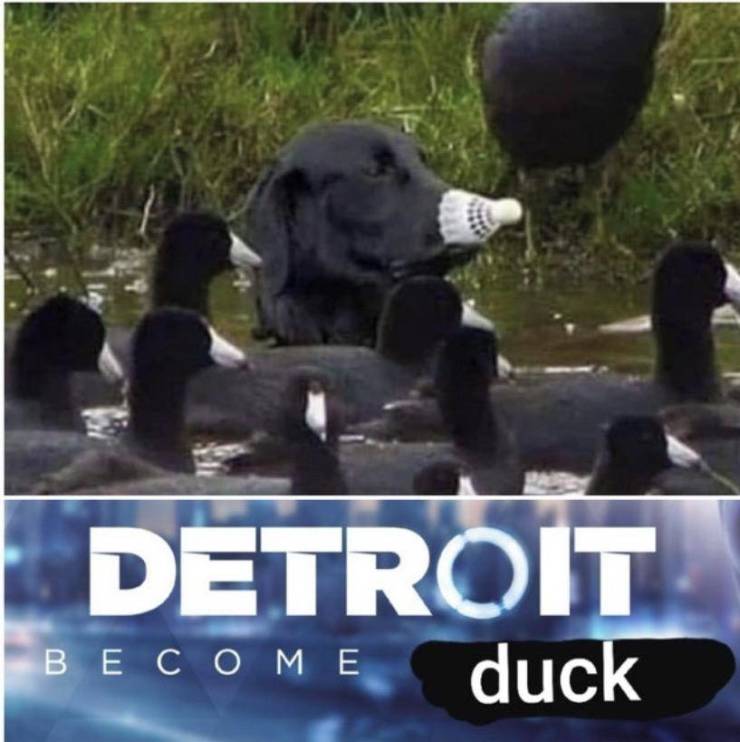 Funny Picdump