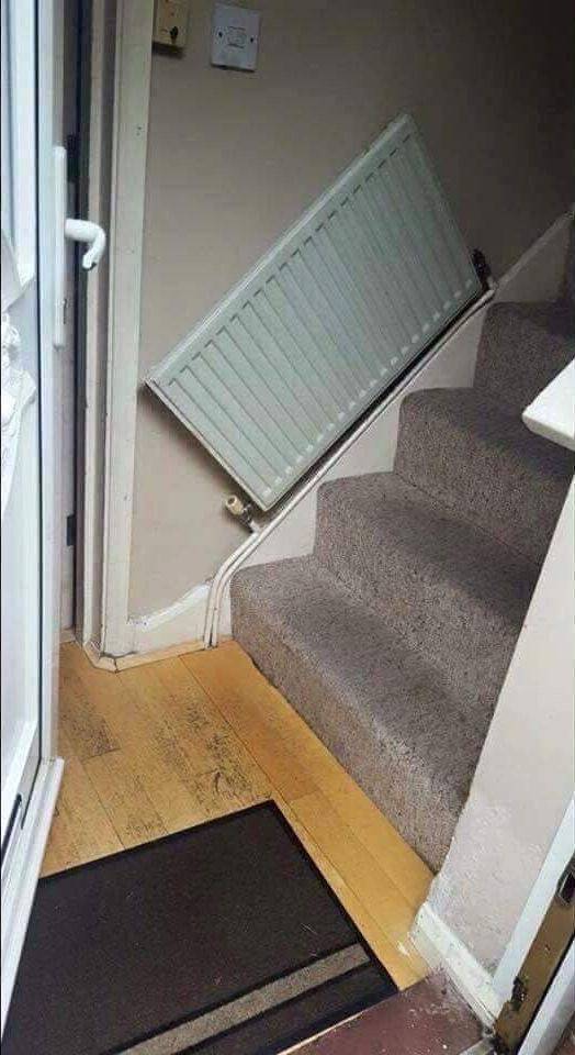Daily Picdump