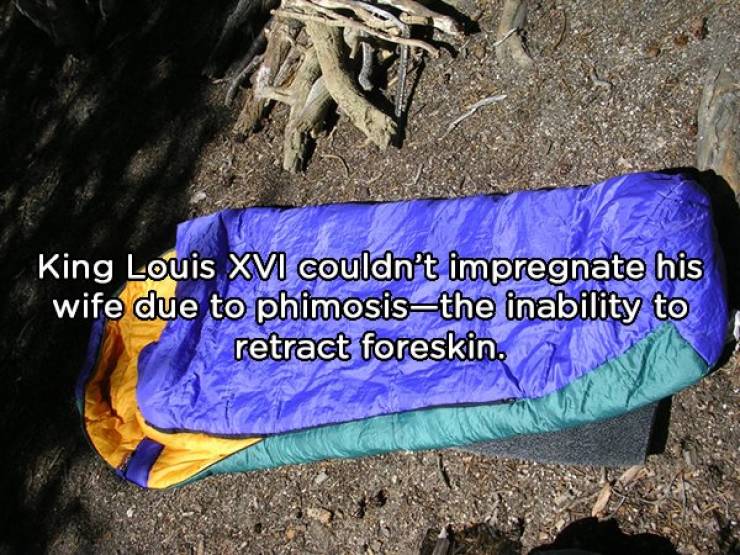 Don’t Read These NSFW Facts Out Loud!