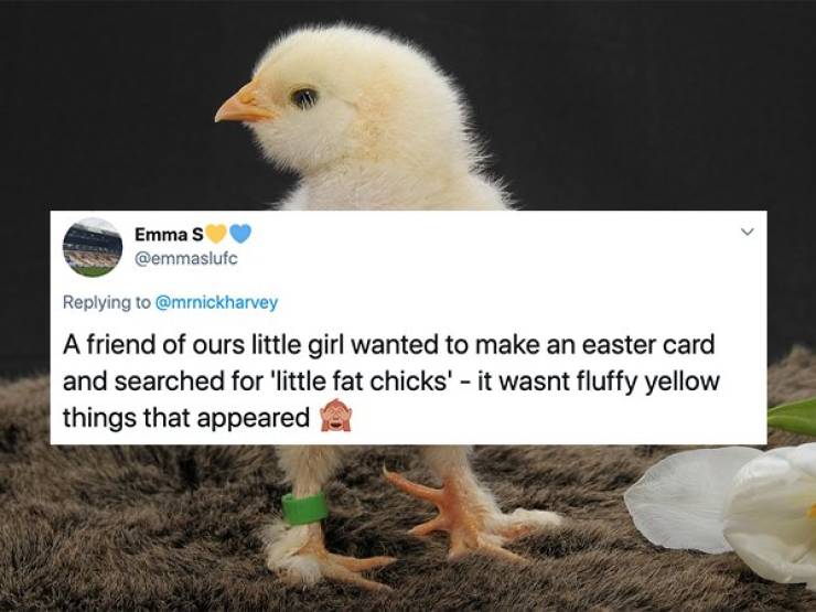 Accidental NSFW Searches Can Come Out Very Wrong…