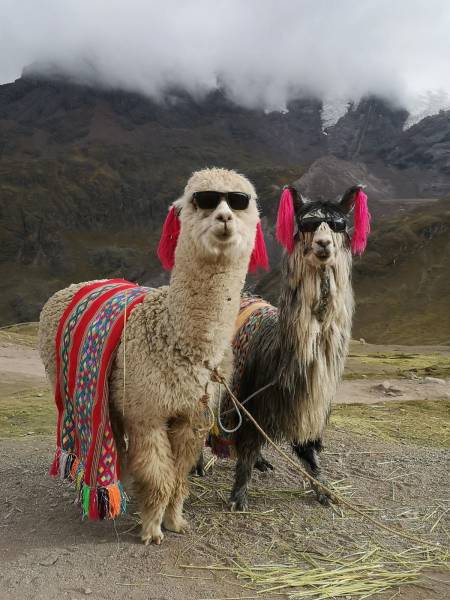 Daily Picdump