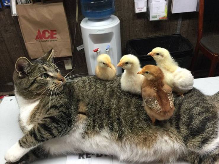 Daily Picdump