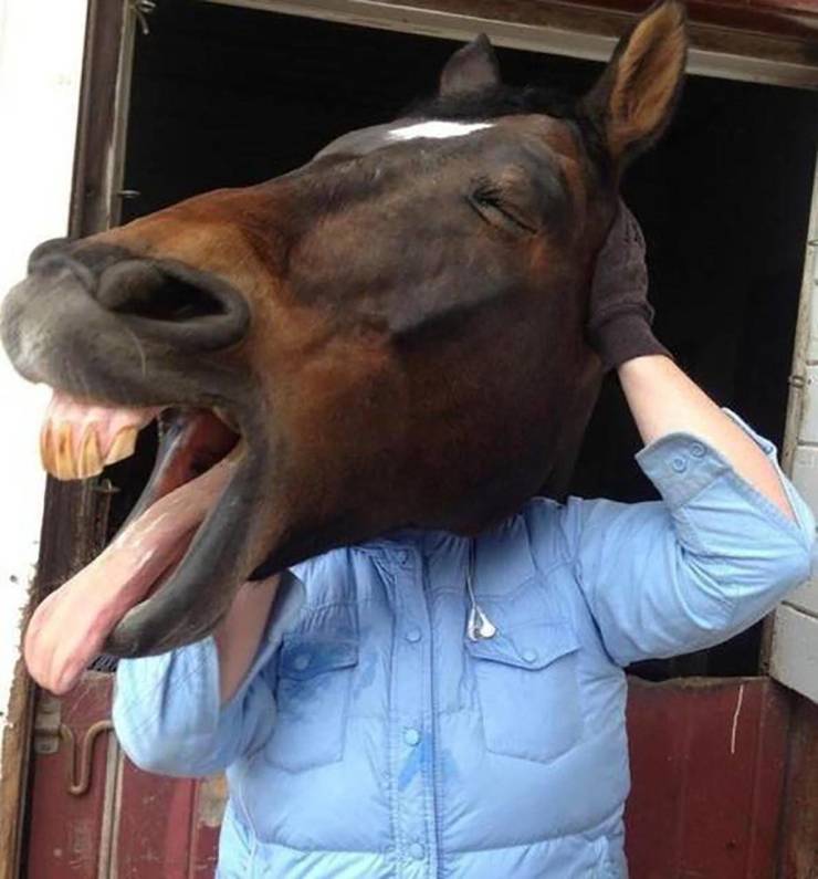 Daily Picdump