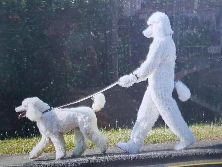 Daily Picdump