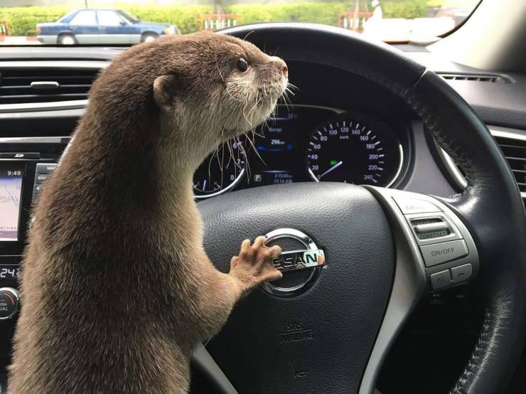 Daily Picdump