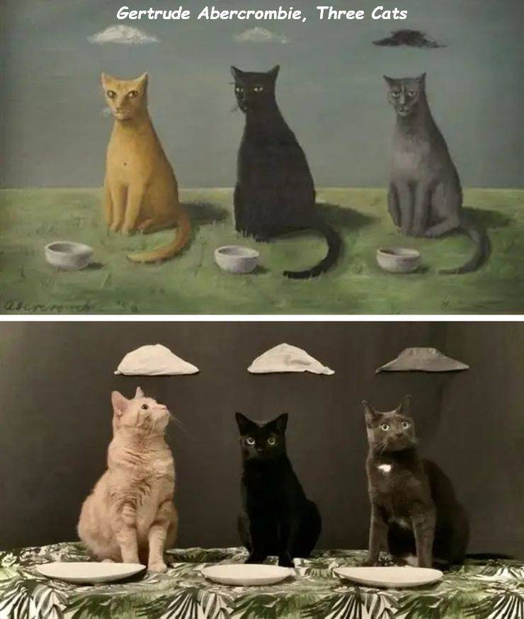 Daily Picdump