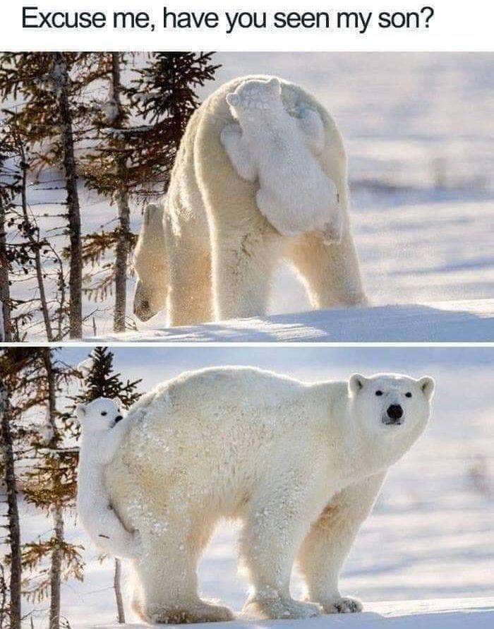 Daily Picdump