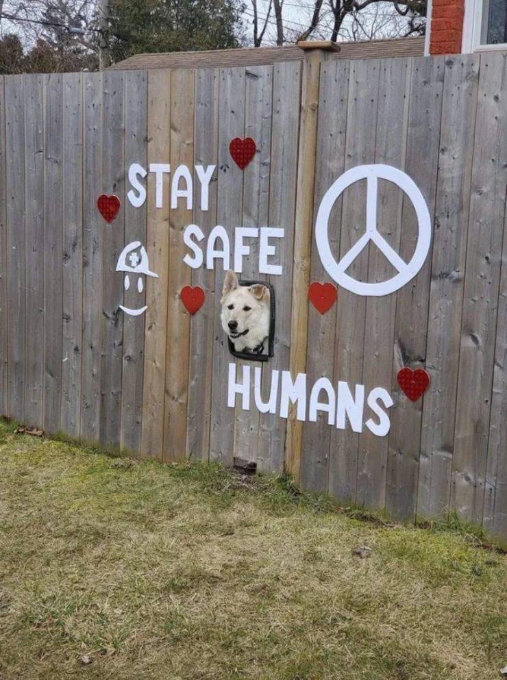 Daily Picdump