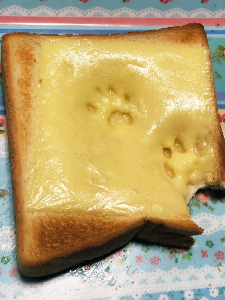 Daily Picdump