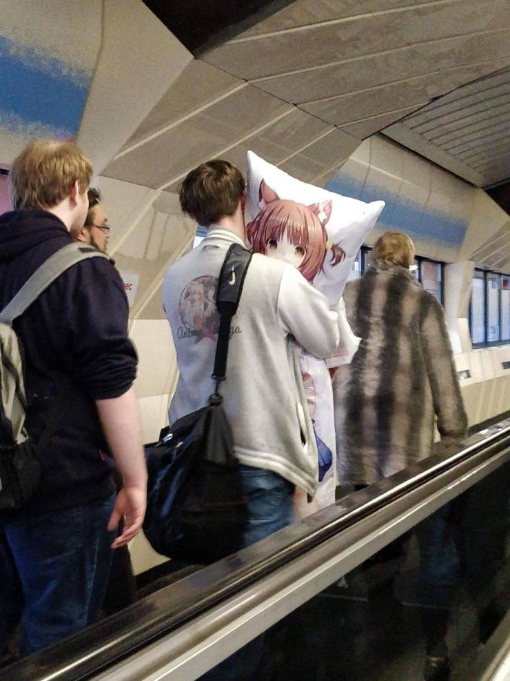 Daily Picdump