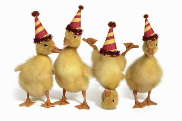 Funny picdump (125 pics)